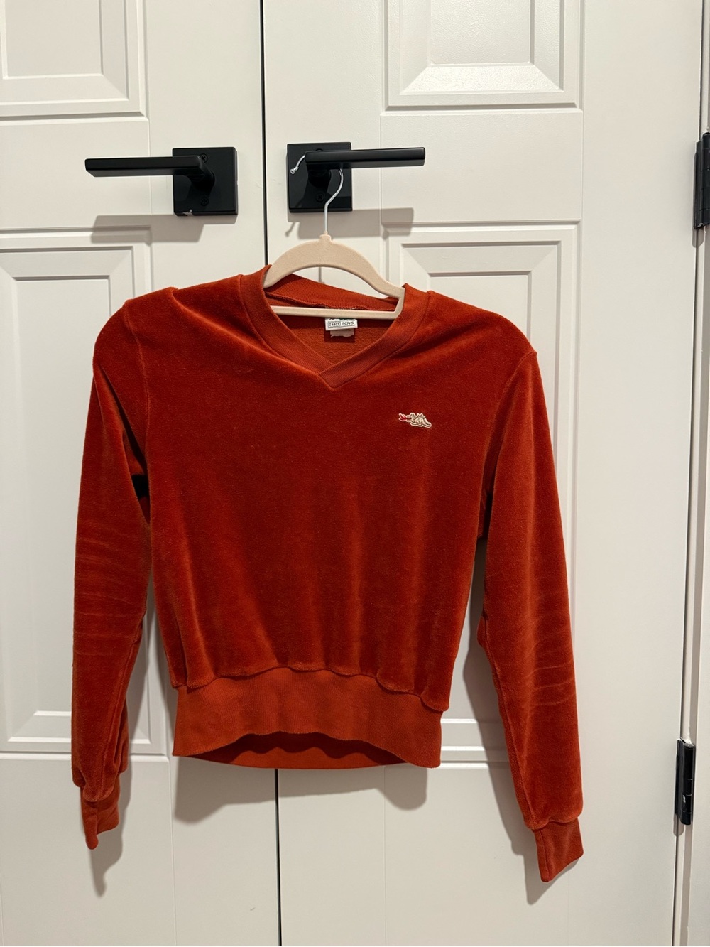 Sears Rust Velour V-Neck Sweater